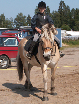 Hanna och Bellman p&aring; v&auml;g ut i skogen