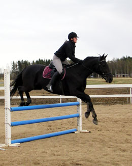 Jenny Sandberg, Daysie