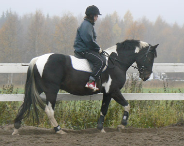 Jessika Hedlund och Spirit 7 oktober 2006.