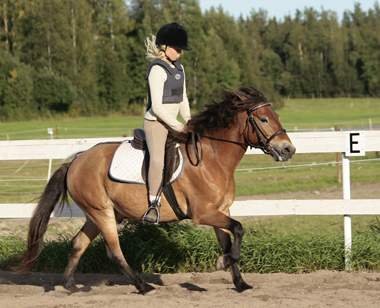 Ange och Ida Aho, augusti 2007.