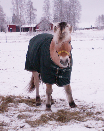 Bellman har fått en ny grimma som det står ENVIS på.