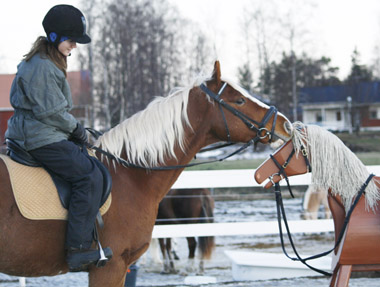 Shadow bekantar sig med nyanläde hästen Benka.