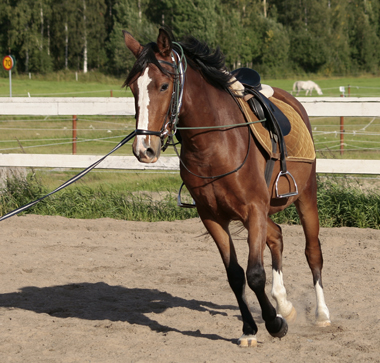 Doris, sommaren 2007.