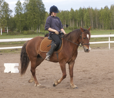 Lina och Holly en junikväll 2006.