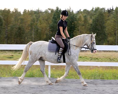 Skimmer o Tula