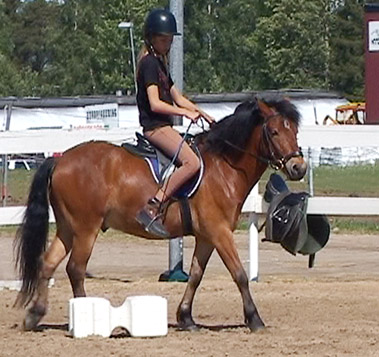 Wiktorin, sommaren 2004