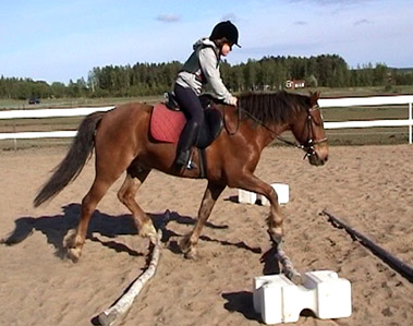 Zingo, sommaren 2004.